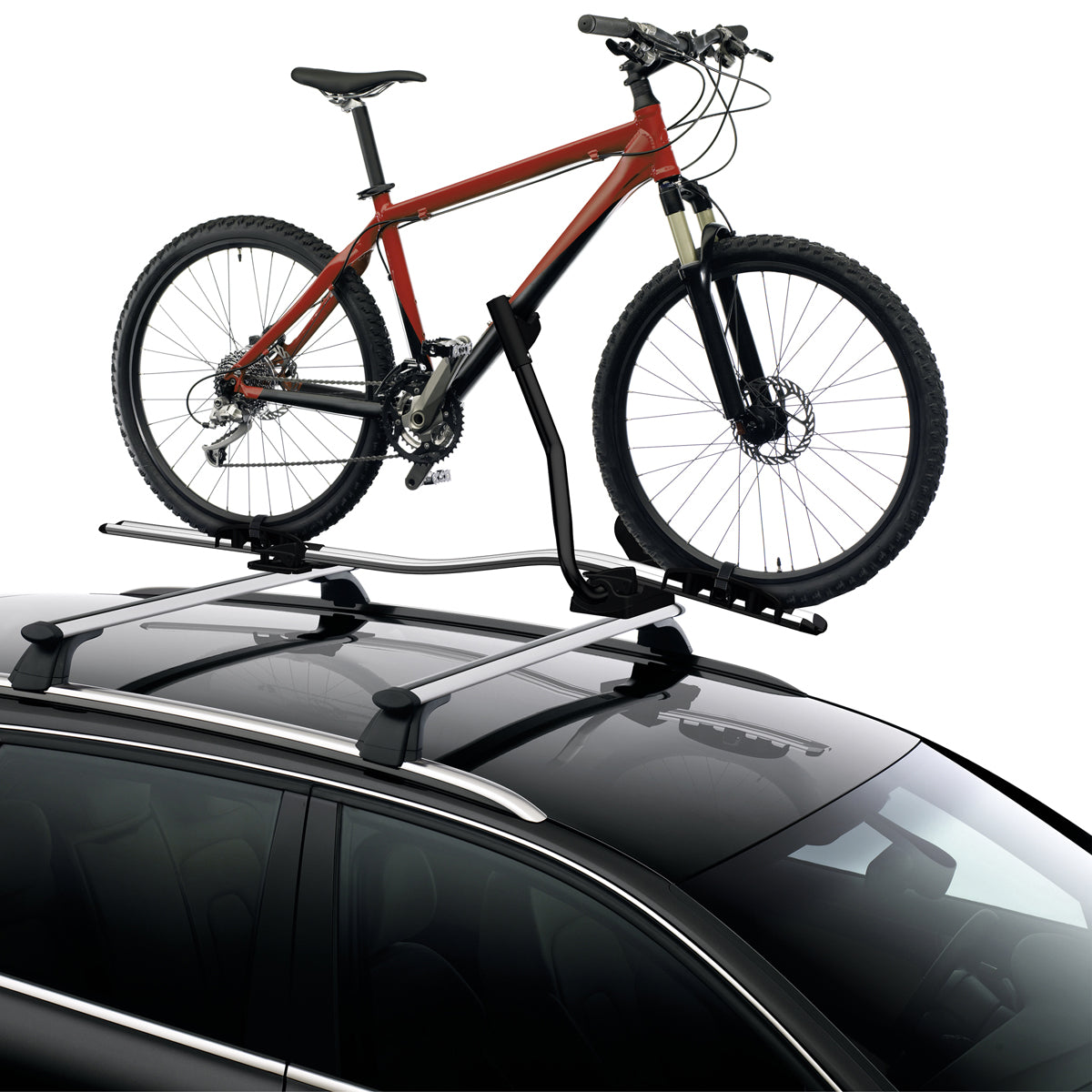 Cycle Carrier