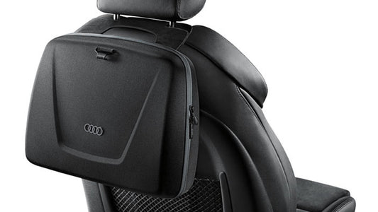 Seat Backrest Bag